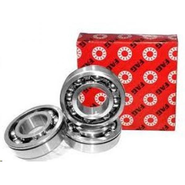 FAG NUP 2206.ETVPC3 New Roller Bearing #1 image